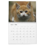 Kat-agenda 2016 kalender (Mar 2026)