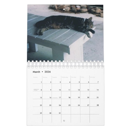 Kat Agenda Kalender (Mar 2026)