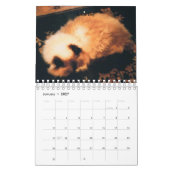 Kat Agenda Kalender (Jan 2027)