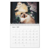 Kat Agenda Kalender (Mar 2027)