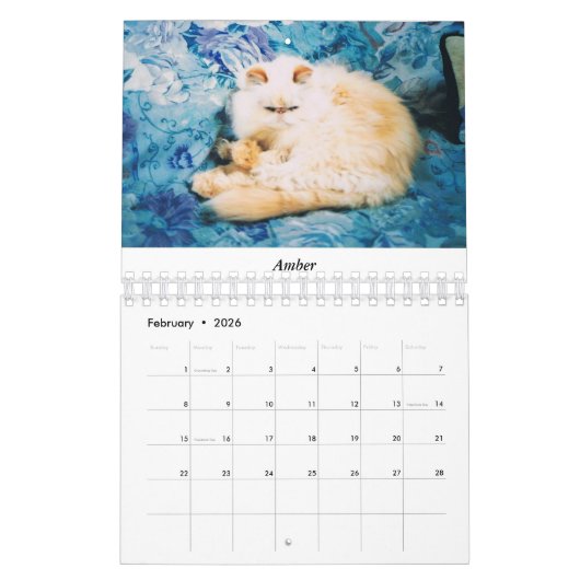 Kat Agenda Kalender (Feb 2026)