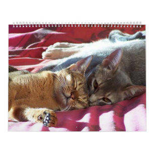 Kat Agenda Kalender