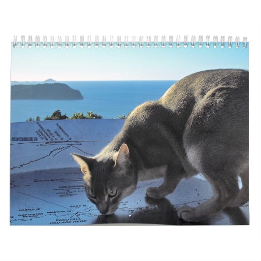 Kat Agenda Kalender (Hoes)