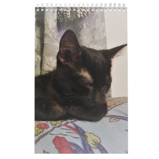 Kat Agenda Kalender (Hoes)
