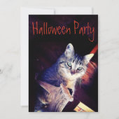 Kat Aglow Close-up Fotouitnodiging Kaart (Voorkant)