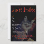 Kat Aglow Close-up Fotouitnodiging Kaart (Achterkant)