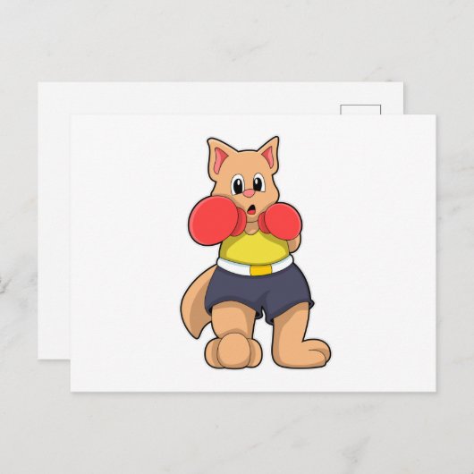 Kat als bokser bij boksen briefkaart (Voorkant / Achterkant)
