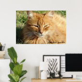 Kat: Amarillo Slaping Poster (Thuiskantoor)