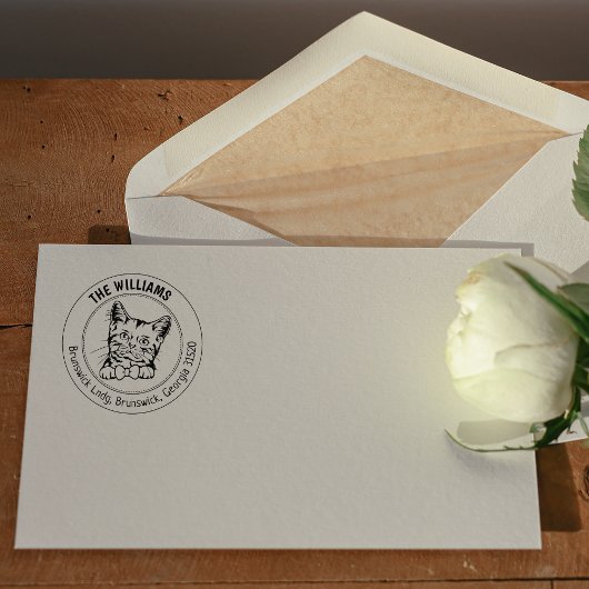 Kat Amerikaans Kort Haar Familie Retouradres Rubberstempel