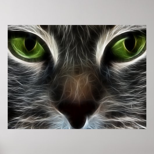 Kat Animal Photo Natuur Wall Poster (Voorkant)