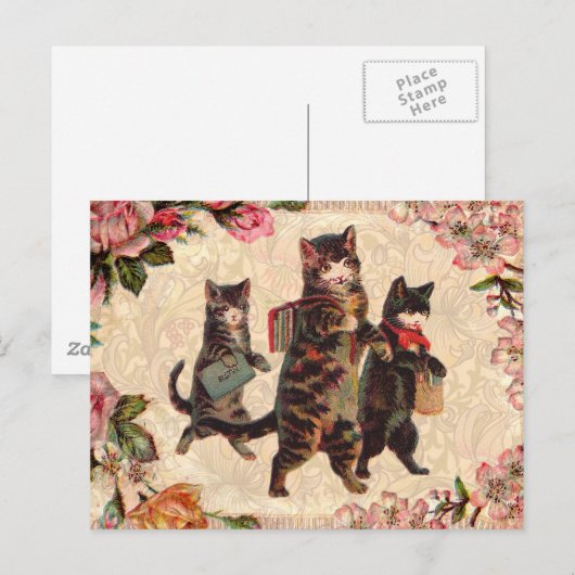 Kat   Antiek Kittens Briefkaart (Voorkant / Achterkant)