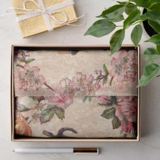 Kat   Antiek Kittens Tissuepapier (Geschenk)