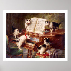 Kat art: kunstdrukken: de overweging van Kitten Poster