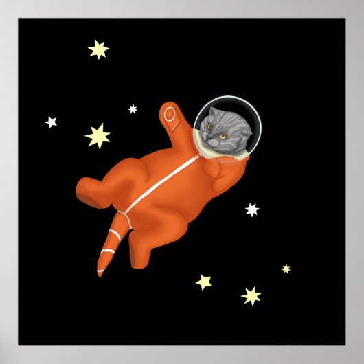 Kat-astronaut in een oranje ruimtevaarteenheid poster (Voorkant)