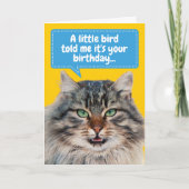 Kat Ate Bird Birthday Greep Kaart (Voorkant)