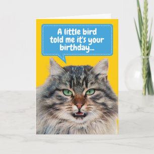 Kat Ate Bird Birthday Greep Kaart