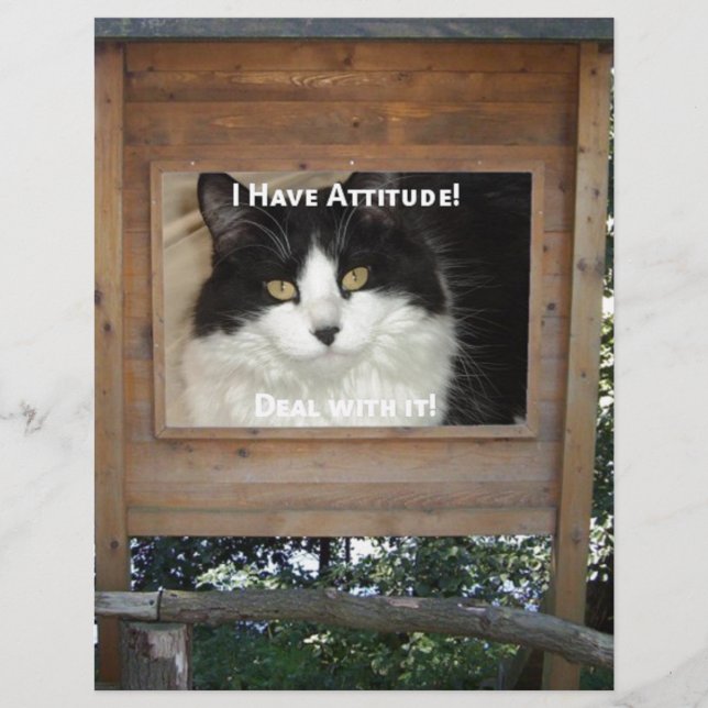 Kat Attitude (Voorkant)
