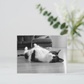 Kat Attitude Briefkaart (Staand voorkant)
