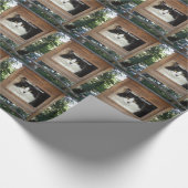 Kat Attitude Cadeaupapier (Hoek)