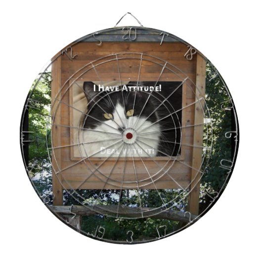 Kat Attitude Dartbord (Voorkant)