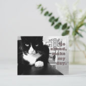 Kat Attitude - Ga vooruit, maak mijn dagelijkse Br Briefkaart (Staand voorkant)