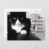 Kat Attitude - Ga vooruit, maak mijn dagelijkse Br Briefkaart (Voorkant / Achterkant)