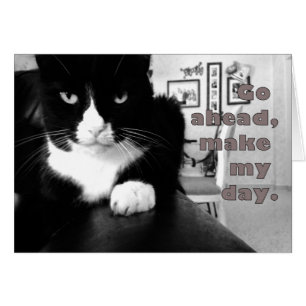 Kat Attitude - Vooruit, maak mijn Kaart op dag