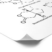 Kat-attractie Poster (Hoek)