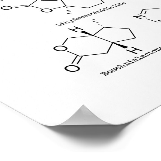 Kat-attractie Poster (Hoek)