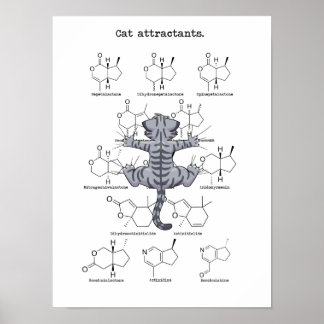 Kat-attractie Poster