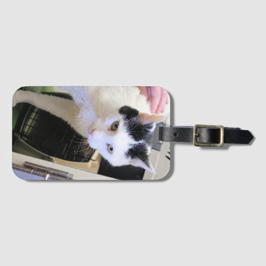 Kat bagagelabel (Voorkant (horizontaal))