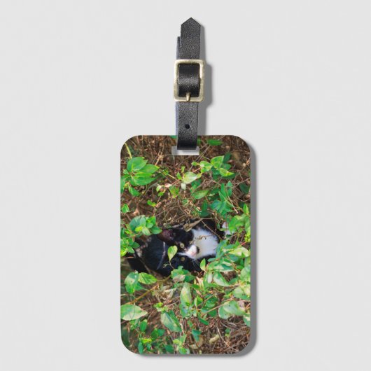 Kat Bagagelabel (Voorkant (verticaal))