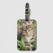 Kat Bagagelabel (Voorkant (verticaal))