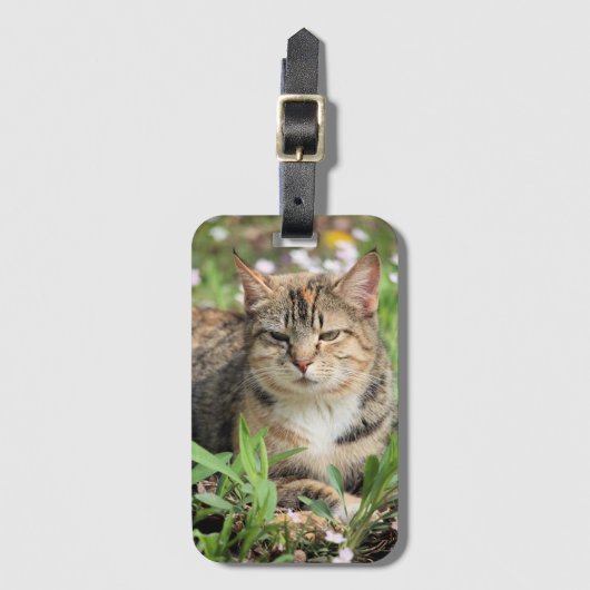 Kat Bagagelabel (Voorkant (verticaal))