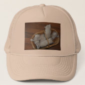 Kat Ball Pet (Voorkant)