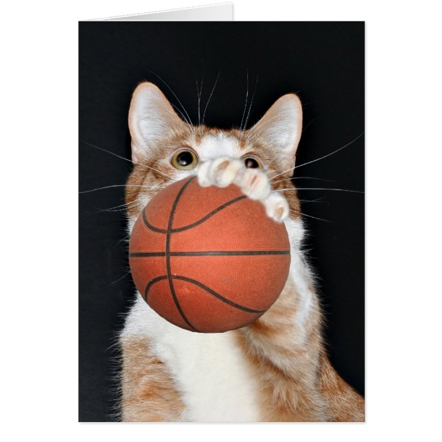 Kat basketbal (Voorkant)