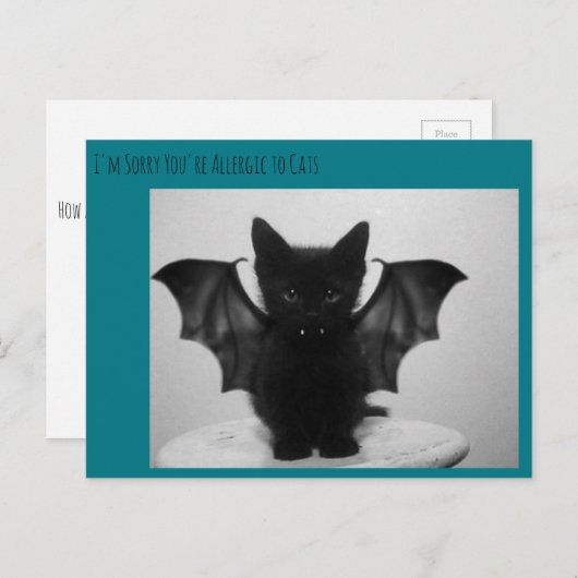 kat bat briefkaart (Voorkant / Achterkant)