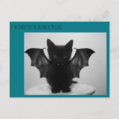 kat bat briefkaart (Voorkant)