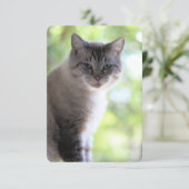 Kat Bedankkaart (Staand voorkant)