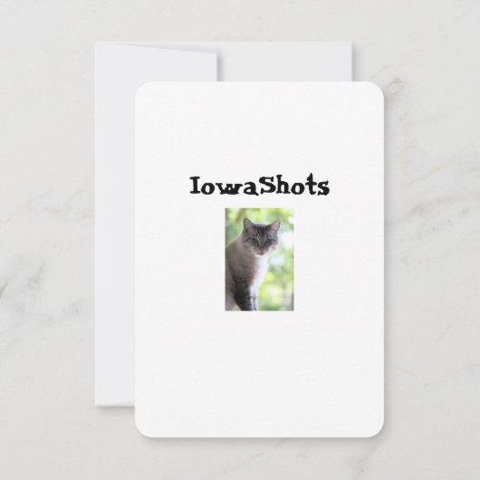 Kat Bedankkaart (Achterkant)