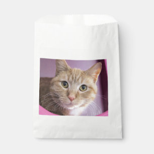 Kat Bedankzakje