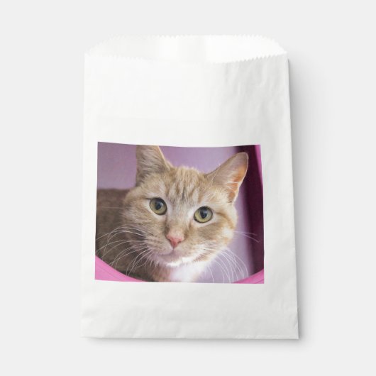 Kat Bedankzakje (Voorkant)
