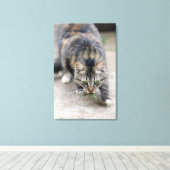 kat betrapte hagedis canvas afdruk (Insitu (Houten vloer))