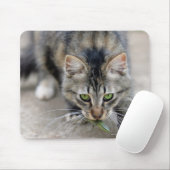 kat betrapte hagedis muismat (Met muis)