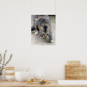 kat betrapte hagedis poster (Keuken)