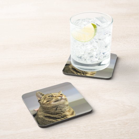 Kat Bier Onderzetter (Rechterzijde)