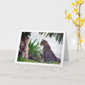 Kat bij Beach Portret Kaart (Gele Bloem)