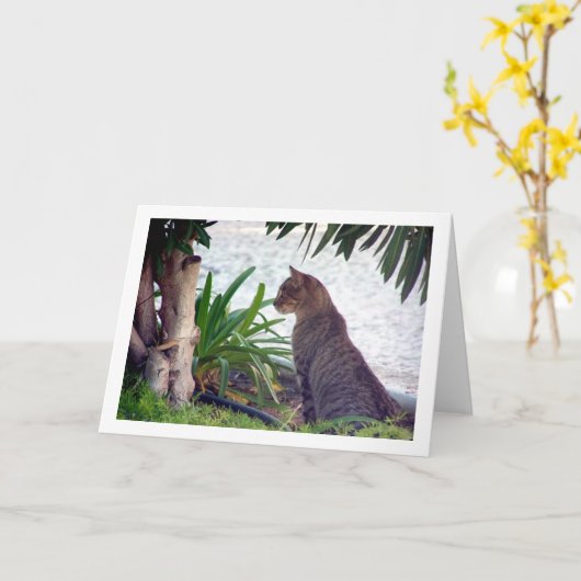 Kat bij Beach Portret Kaart (Gele Bloem)