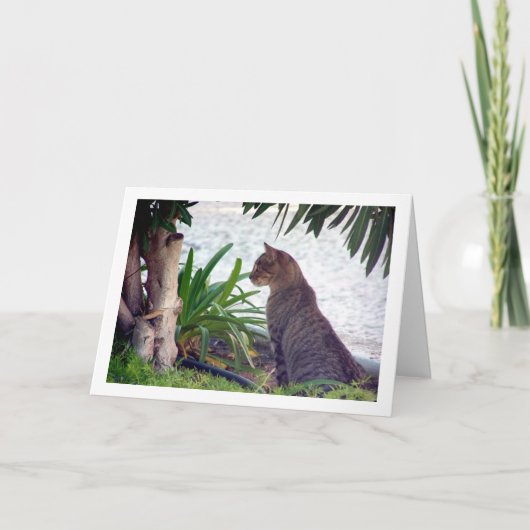 Kat bij Beach Portret Kaart (Voorkant)