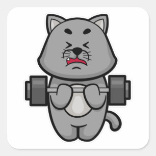 Kat bij Biceps-training met Barbell Vierkante Sticker